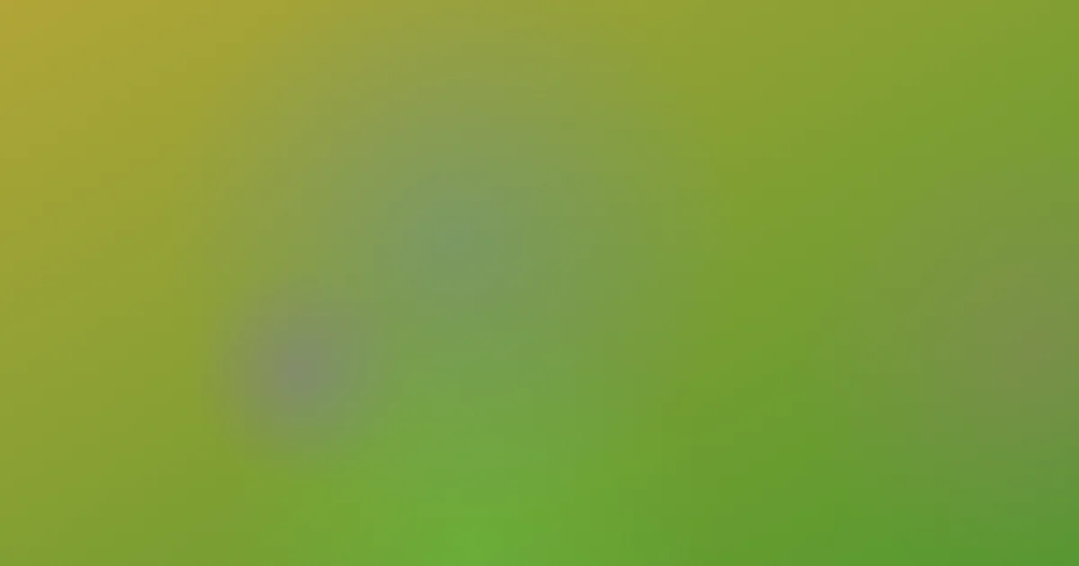 温吞避坑：慢背后的真实逻辑